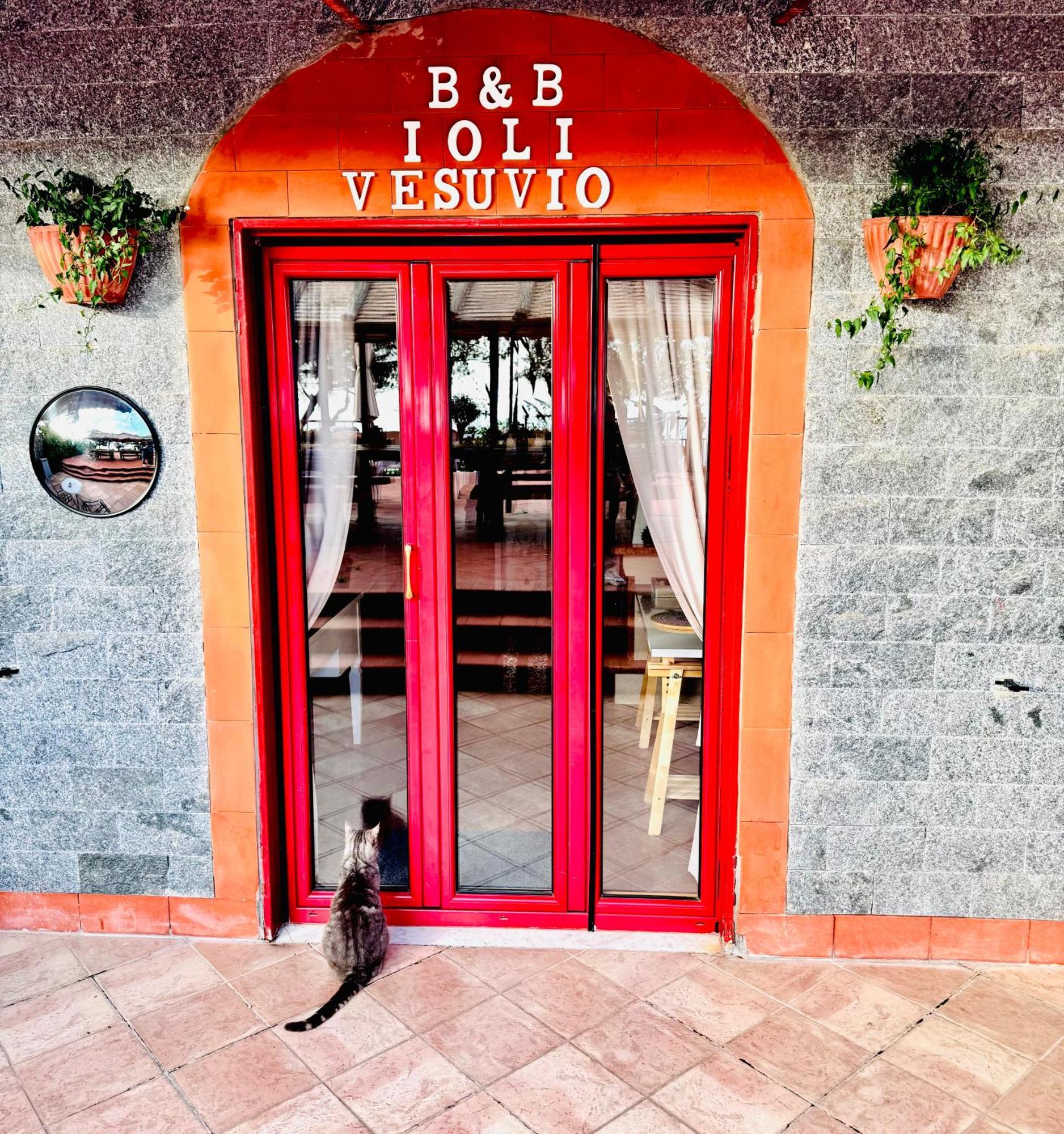 B&B Ioli Vesuvio Ercolano Exterior foto